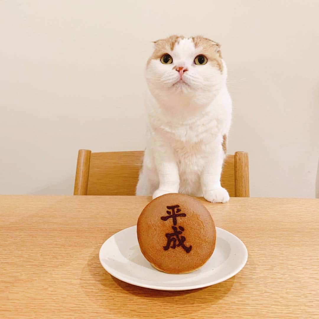 のんたのインスタグラム：「のんちゃんは平成21年生まれ 平成ありがとう🇯🇵」
