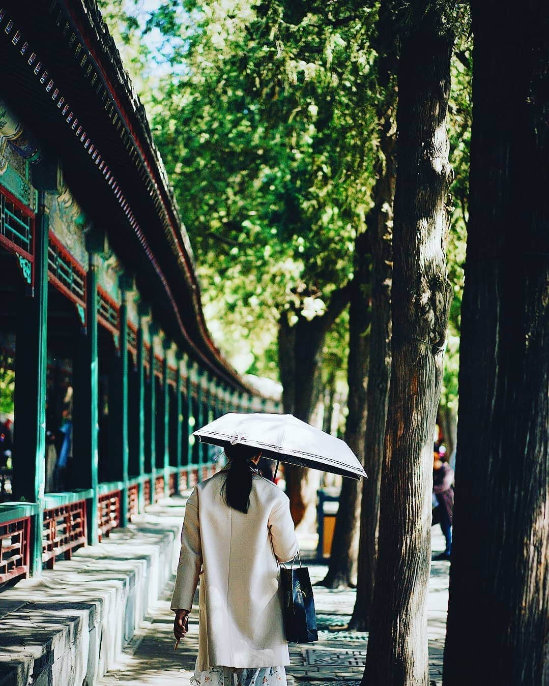VuTheara Khamさんのインスタグラム写真 - (VuTheara KhamInstagram)「Arrived in Beijing. First stop with #airchina in Summer Palace in the morning for few hours, time to take some candid shots. #landyourdream」4月30日 23時18分 - vutheara
