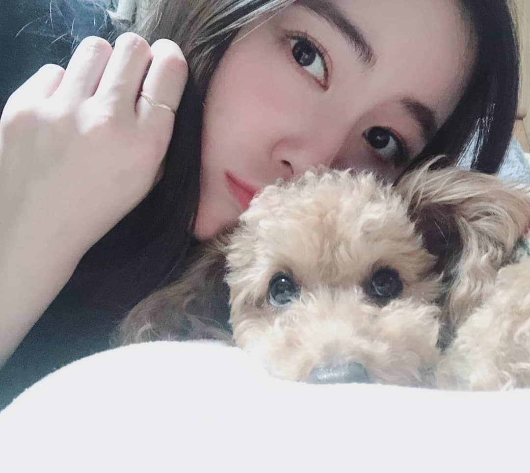 松井珠理奈さんのインスタグラム写真 - (松井珠理奈Instagram)「実は、今日愛犬リップスくんのお誕生日です🎁💕 平成最後の投稿は、リップスくんとの2shotで🐶✨ #平成最後  #お誕生日  #birthday  #犬  #愛犬  #トイプードル」4月30日 23時21分 - jurinamatsui3