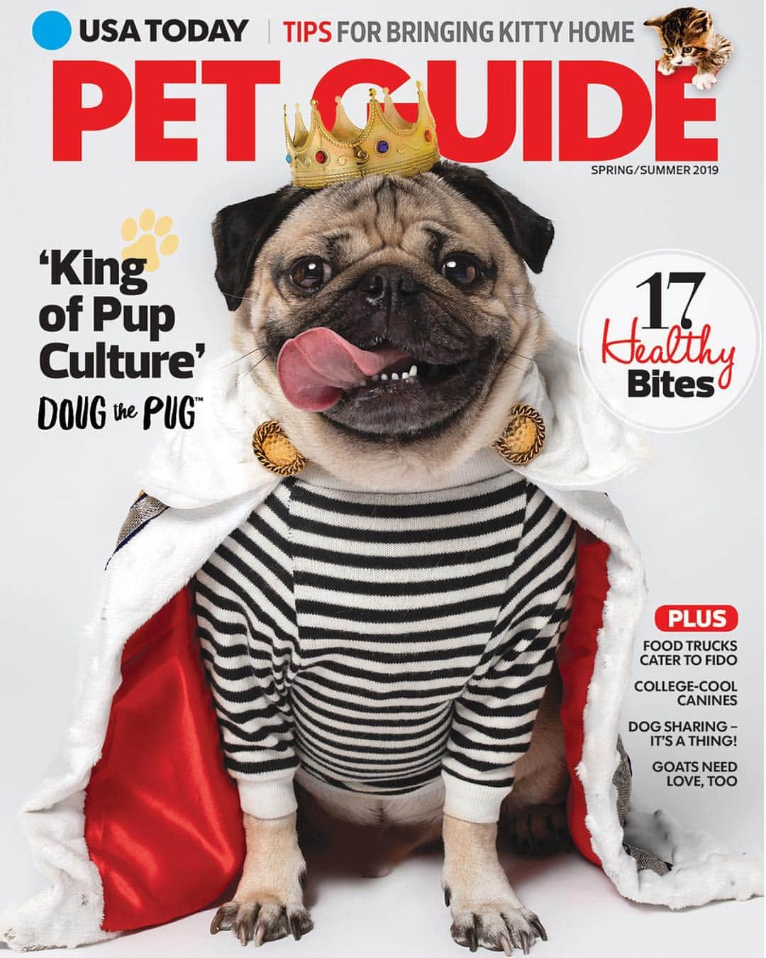 itsdougthepugさんのインスタグラム写真 - (itsdougthepugInstagram)「“When u have a face cute enough to be on the cover of a magazine” -Doug • Guess what?! I’m on the cover of @usatoday! U can get it at newsstands nationally or click the link in my bio to order! They wrote an awesome article about my little pug life.」4月30日 23時34分 - itsdougthepug