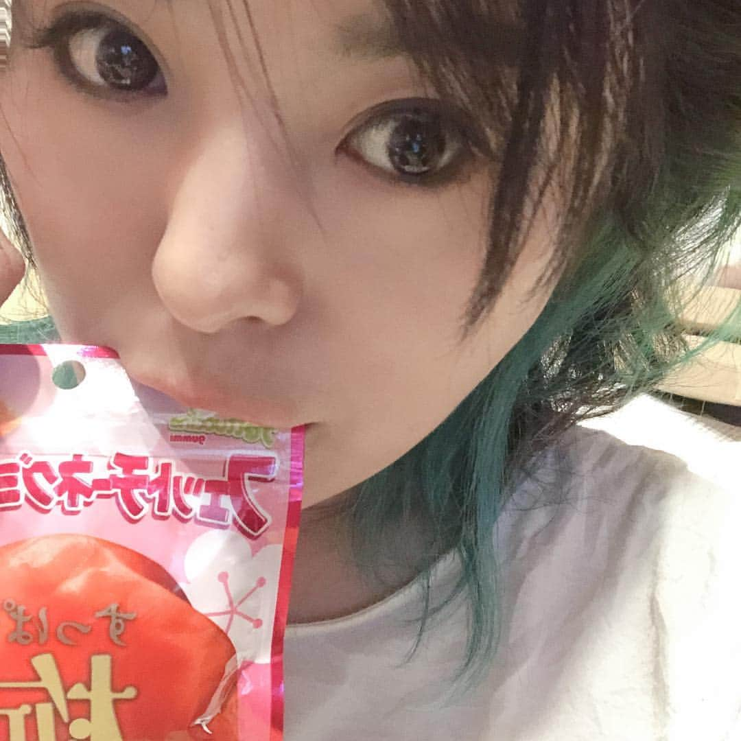 白川りささんのインスタグラム写真 - (白川りさInstagram)「普段グミとかガムを全く食べないのにこれは箱買いレベルでハマった。残すところあと僅かな平成をこの子とまったり過ごしますwww #平成から令和へ #デブ活 #令和も痩せる気だけしかない #フェットチーネグミ #梅味 #残り僅かですが良い平成をお過ごしください」4月30日 23時45分 - risarisausausa