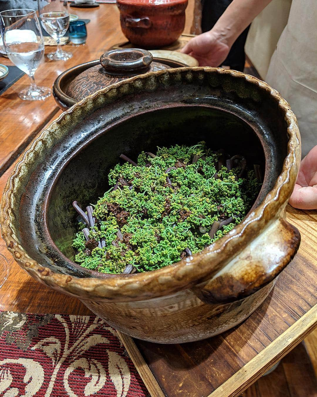 シャウラさんのインスタグラム写真 - (シャウラInstagram)「Last night at Den I got to enjoy not one, not two, but three different types of donabe (clay pot) cooked rice. The first is firefly squid, second is sansho with warabi (bracken) and the last is shirasu (baby sardines) with green onion. My favorite was the sansho. Superb. 傳定番の土鍋ご飯。昨日は、一種類ではなく、二種類でもなく、なんと三種類も！大人の贅沢ってこういう事だなとしみじみ思いました！ホタルイカ、ワラビと山椒、そしてしらす。全部美味しかったけど、山椒ご飯が超絶美味しかった。 #foodie #japanesefood #worlds50best #傳 #和食」4月30日 23時56分 - shaula_vogue