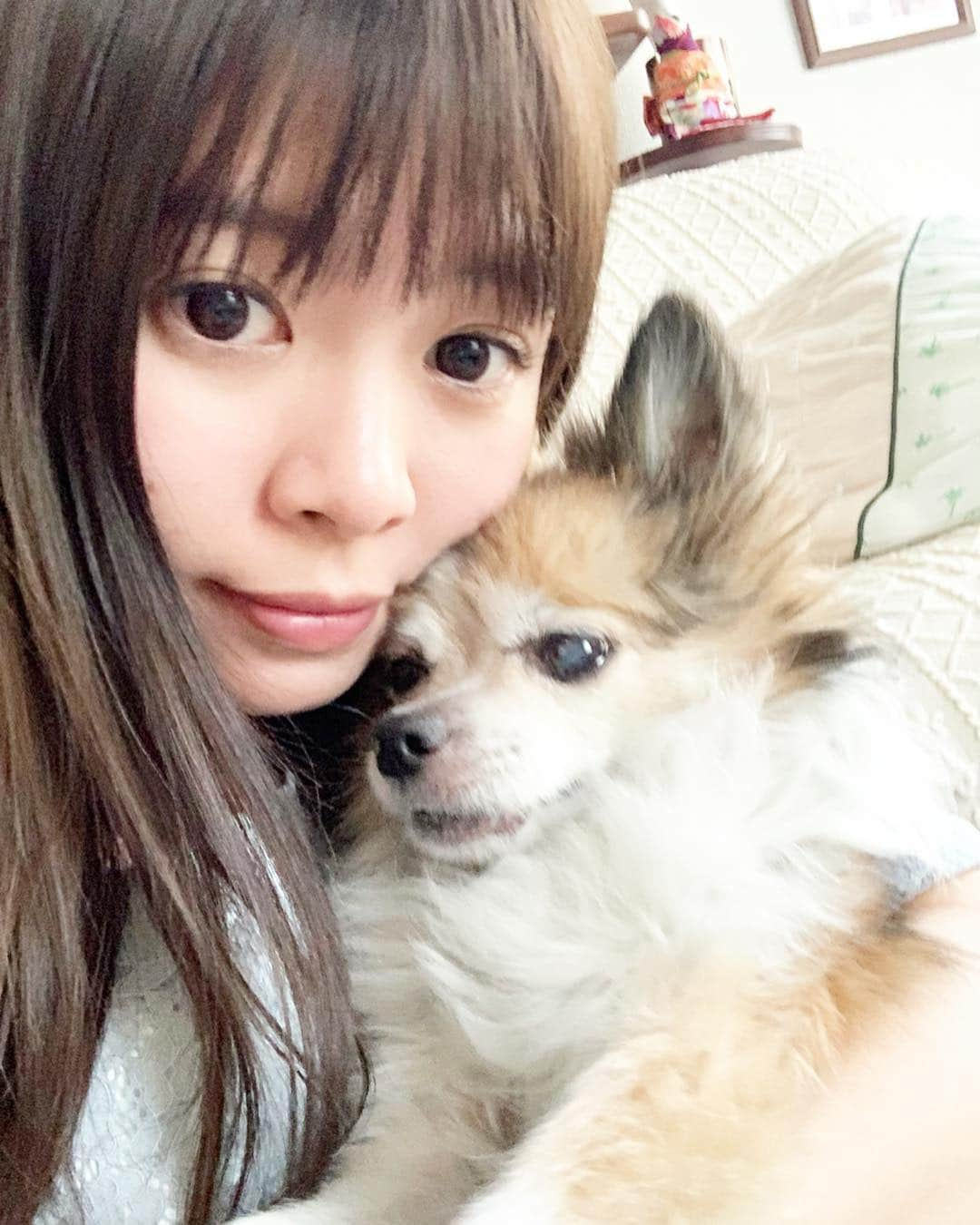 野澤美仁さんのインスタグラム写真 - (野澤美仁Instagram)「平成で1番嬉しかった事は、ろこちゃんを飼った事かな？😍🐶🐶 ろこちゃんなんでこんなにカメラ嫌がるんだろう、、😭😭普段はもっと可愛いのに🙈カメラ目線一枚もない#chihuahua #love#dog#pet #ちわわ#平成#令和#犬#仲良し」5月1日 0時29分 - misatonozawa0625