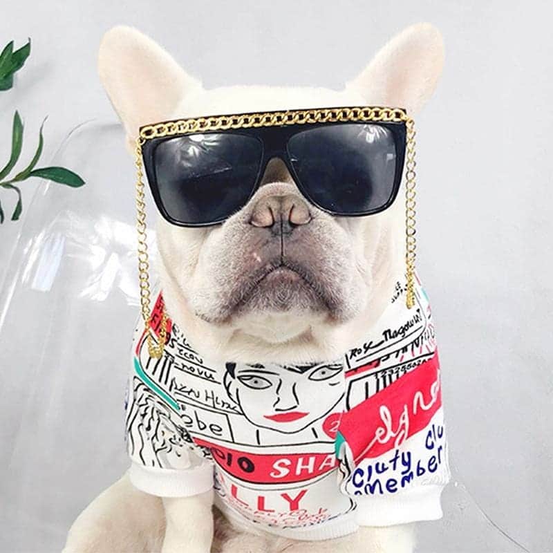 French Bulldogさんのインスタグラム写真 - (French BulldogInstagram)「Summer is coming...so NEW Frenchie World Dogwear Collection 👕👗🧦👚 Check out this Summer Pop Art T shirt 🔴⚪⚫ . . . . . #frenchie #frenchieoftheday #französischebulldogge#franskbulldog #frenchbull #fransebulldog #frenchbulldog#frenchiepuppy #dog #dogsofinstagram #petstagram#puppy #puppylove #bully #bulldog #bullyinstafeature」5月1日 0時31分 - frenchie.world