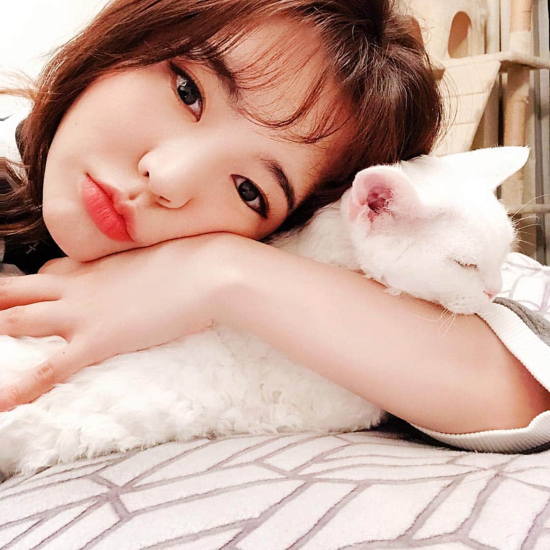 サニー のインスタグラム：「#퇴근 #완전방전 #씻기귀찮 #소금이로힐링 #고양이나는있지롱」