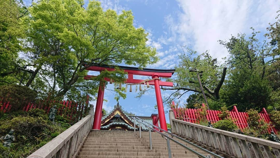 桜花さんのインスタグラム写真 - (桜花Instagram)「抜けるような青空🍀  雨予報でしたが、晴れて感謝！🍀＼(^^)／ #山登り  #山歩き  #高尾山 #空  #ハピピーン #mountain  #mountains #mountaingirl #yamagirl  #bluesky #nice #青空  #山 #山ガール #山登り大好き芸人」5月1日 11時41分 - mountainohka