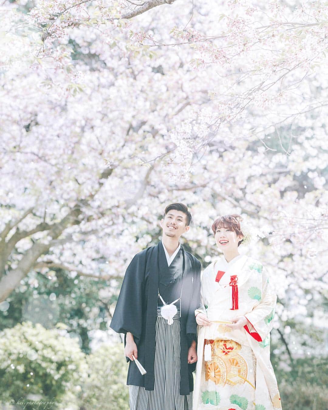 keiさんのインスタグラム写真 - (keiInstagram)「Fukuoka - Japan . . #wedding #portrait #cherryblossam . . #weddingphotography #tokyocameraclub #igersjp #ig_phos #japan_daytime_view #photo_jpn #canon_photos #good_portraits_world #my_eos_photo #japanesestyle #lovers_nippon_portrait #ig_japan #engagementphoto #instagramjapan #jp_portrait部 #空 #桜 #一眼レフ #写真好きな人と繋がりたい #写真撮ってる人と繋がりたい #プレ花嫁 #チェリフォト #和装婚礼 #ポートレート #前撮り #カップルフォト #ウエディング」5月1日 12時04分 - kei.photography