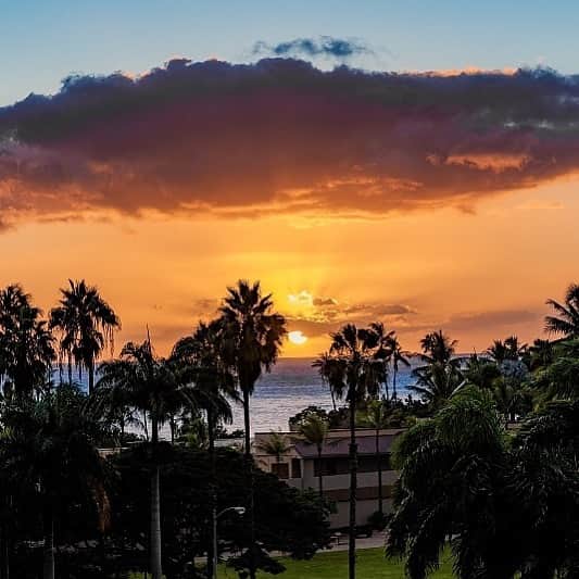 Trump Waikikiさんのインスタグラム写真 - (Trump WaikikiInstagram)「There’s nothing like a glorious Hawaiian sunset to create the tone and mood of your stay. #trumpwaikiki #fivestarhotelwaikiki  #fivestarhotelhonolulu #waikikihotel #luxuryhotel #hawaiiansunset #romancetravel #familytravel #multigenerationaltravel #roomwithaview #lethawaiihappen #visitoahu 📷: @crispycrisp808  トランプ・ワイキキから見た美しいサンセット。 #トランプワイキキ #5つ星ホテル #ラグジュアリーホテル #ハワイアンサンセット #家族旅行 #夕日 画像提供: @crispycrisp808」5月1日 12時07分 - trumpwaikiki