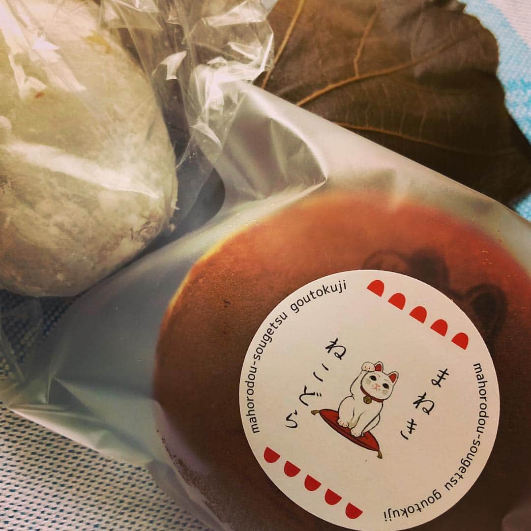 櫻井リヤのグルメインスタ