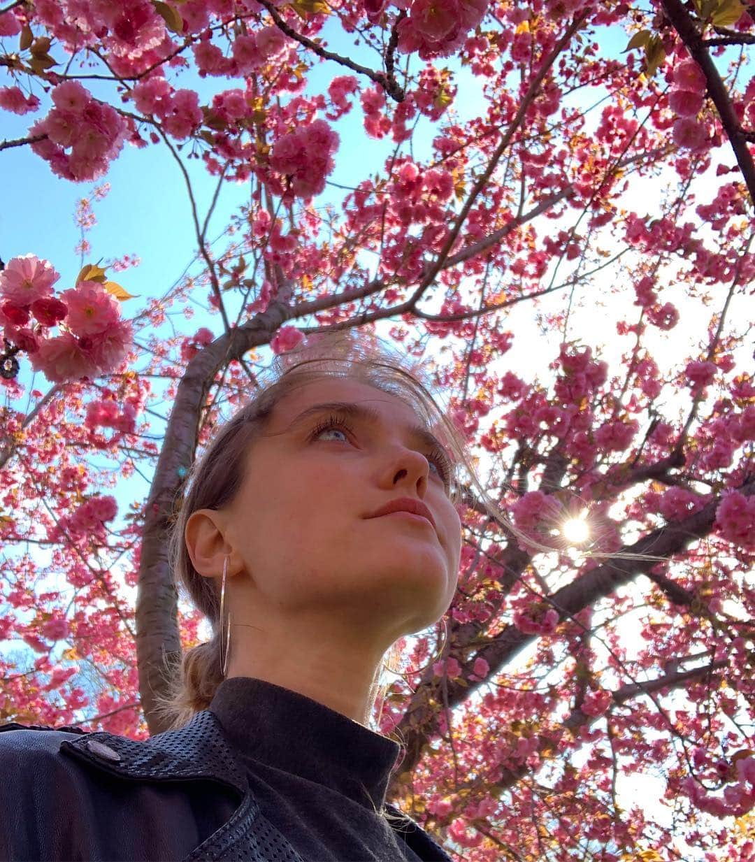 ヴラダ・ロスリャコヴァのインスタグラム：「They just open up and turn towards the light 🌸 #bloom #somethingtolearn」