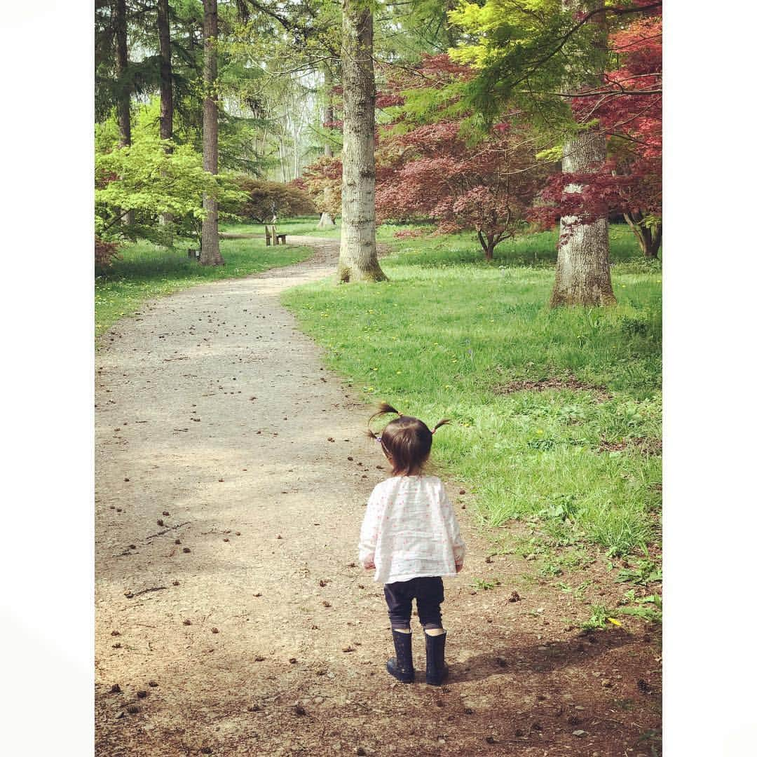 ダイアナ湯川さんのインスタグラム写真 - (ダイアナ湯川Instagram)「Exploring the maple trees 🌳 . . . . . #daughter #toddler #babygirl #19monthsold #mybaby #love #family #blessed #mamalife #motherhood #westonbirt #westonbirtarboretum #trees #nature #beauty」5月1日 4時12分 - diana.yukawa