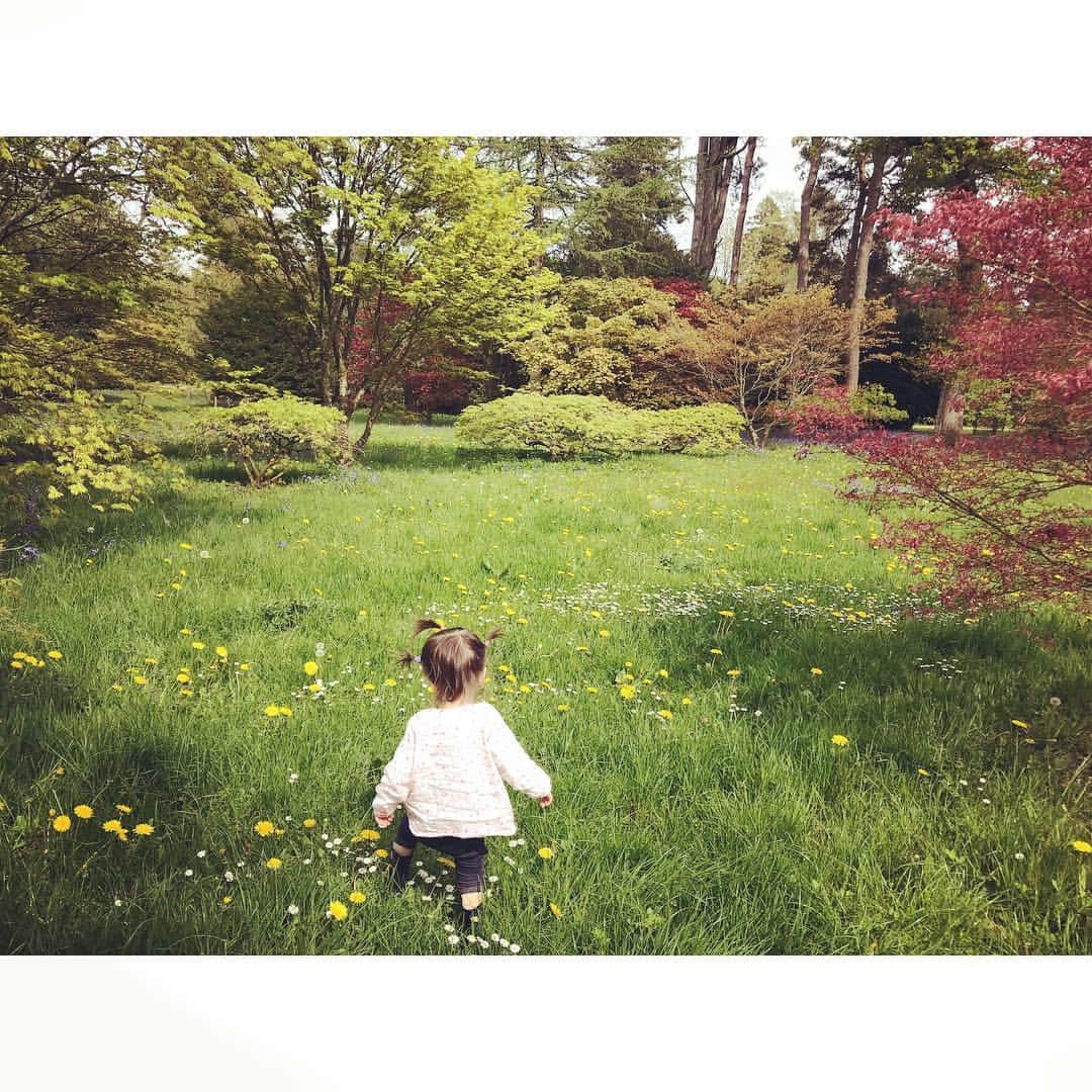 ダイアナ湯川さんのインスタグラム写真 - (ダイアナ湯川Instagram)「Exploring the maple trees 🌳 . . . . . #daughter #toddler #babygirl #19monthsold #mybaby #love #family #blessed #mamalife #motherhood #westonbirt #westonbirtarboretum #trees #nature #beauty」5月1日 4時12分 - diana.yukawa