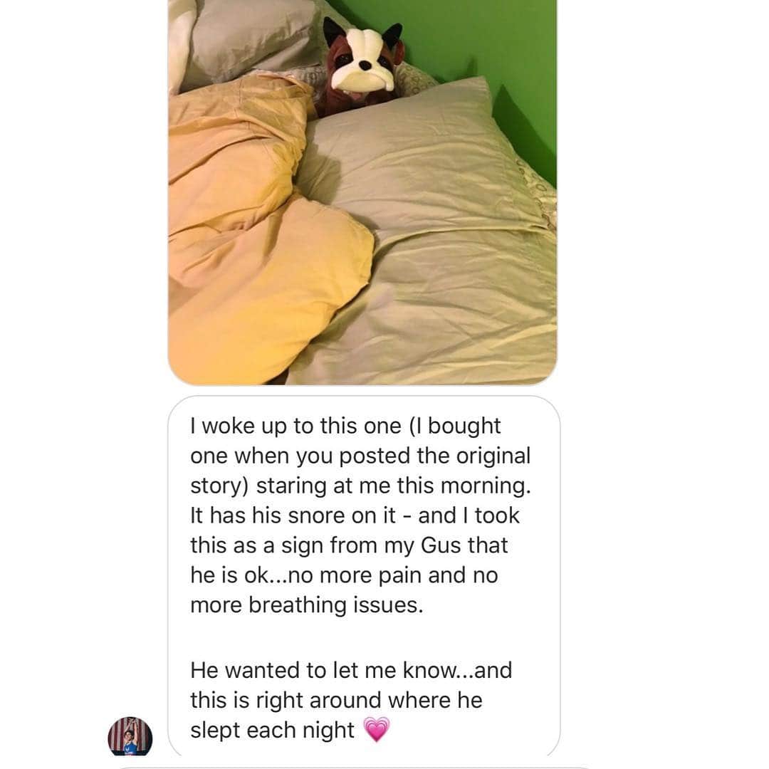 Bodhi & Butters & Bubbahさんのインスタグラム写真 - (Bodhi & Butters & BubbahInstagram)「Oh my god you guys, my heart just can’t handle this ❤️😭 our amazing #giveaway winner just lost her sweet baby #bulldog 🐶 🌈please leave her some #love 💗💗💗 losing our #puppies is never easy . . . . #love #my #dog #community #you #are #amazing #puppy #blessed #bestoftheday」5月1日 4時30分 - keonistuff