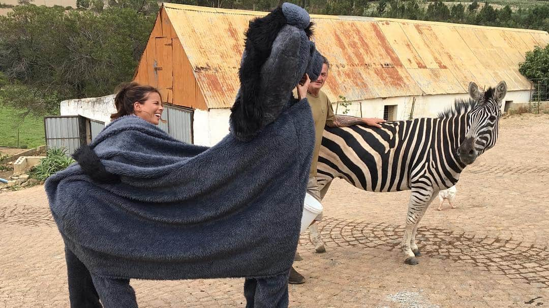 ケイト・ベッキンセイルさんのインスタグラム写真 - (ケイト・ベッキンセイルInstagram)「That time we tested to see if Sarah could attract a zebra as a potential life partner and it worked too well  #thewidow @itv #bts」5月1日 5時09分 - katebeckinsale