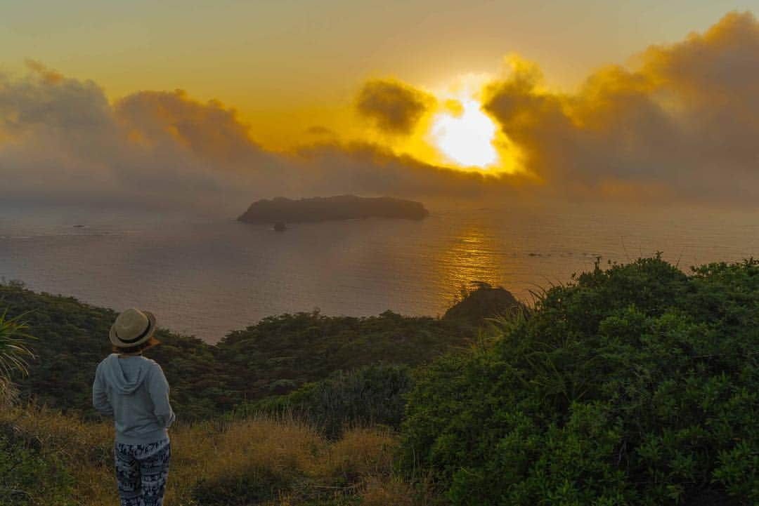 詩歩さんのインスタグラム写真 - (詩歩Instagram)「🌅﻿ ﻿ 令和の初日の出。﻿ ﻿ 雲海の向こう側から、美しい太陽がひょっこり顔を出してくれました。﻿ ﻿ 美しく自然を愛でられる、平和な時代に、なりますように。﻿ ﻿ The first sunrise in Reiwa era on the first day.﻿ I wish for a peaceful and beautiful era.﻿ ﻿ ﻿ 📷1st May 2019 ﻿ 📍傘山／東京都  小笠原諸島 父島﻿ 📍Kasayama／Tokyo Ogasawara island ﻿ ﻿﻿ ﻿﻿ ﻿﻿﻿ ©︎Shiho/詩歩﻿﻿」5月1日 5時58分 - shiho_zekkei