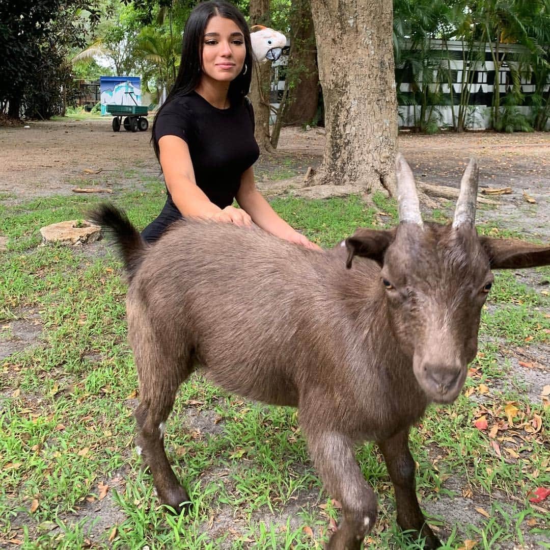 イヴァンナ・ヴェンチュラさんのインスタグラム写真 - (イヴァンナ・ヴェンチュラInstagram)「Damn goats are amazing tbh 😍 Dolly(the bird) wasn’t feeling the vibe tho lol || Tag a goat 🐐 👀」5月1日 6時26分 - yoventura