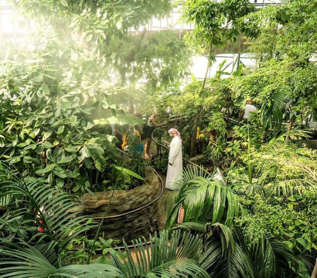 National Geographic Travelさんのインスタグラム写真 - (National Geographic TravelInstagram)「Photo by @lucalocatelliphoto | Visitors find a lost world at the Green Planet, a biodome that shelters rain forest habitat and more than 3,000 species of plants and animals, including sloths, snakes, and exotic birds. Walkways traverse four levels. The structure itself is green, one of the city’s rising number of LEED-certified buildings. A decade ago Dubai had one of the largest ecological footprints of any city in the world. By 2050 it wants to have the smallest. Can it get there? My work revolves around the making of the future, how our society transitions through new ways of living, and how technology is changing our approach to the environment and to our cities. I’ve embarked on a journey with @natgeo to showcase how Dubai aims to become one of the world’s greenest cities. Follow me @lucalocatelliphoto to find out more about the Dubai story I covered for @natgeo #Dubai #environment #greenhouse #nature #people #city」5月1日 7時11分 - natgeotravel