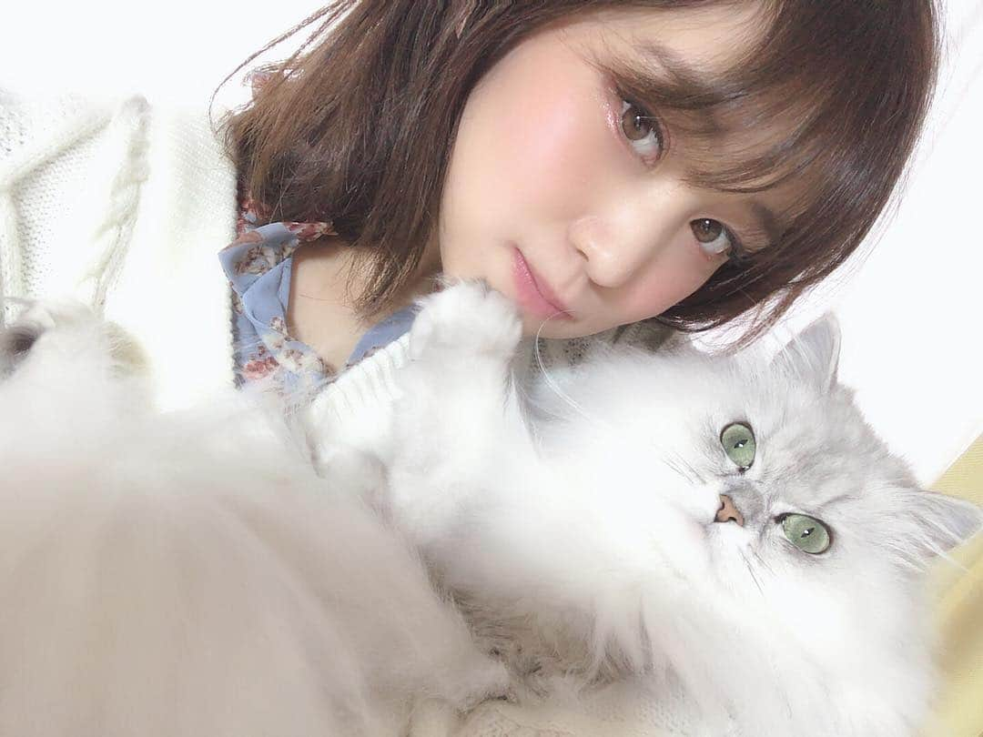 橘花凛さんのインスタグラム写真 - (橘花凛Instagram)「令和よろしくニャンって言ってたよ😽初りんだいふく😽 @daifukutakahashi」5月1日 7時26分 - rintakahashi0809