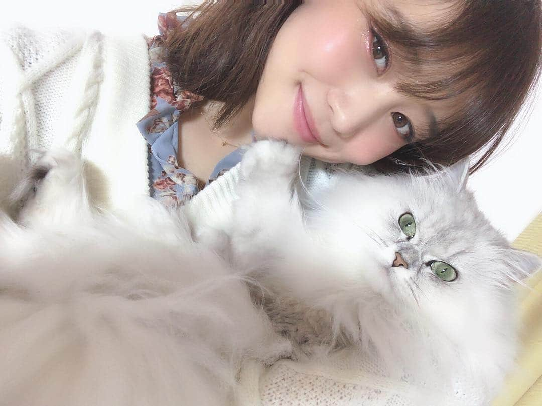 橘花凛さんのインスタグラム写真 - (橘花凛Instagram)「令和よろしくニャンって言ってたよ😽初りんだいふく😽 @daifukutakahashi」5月1日 7時26分 - rintakahashi0809