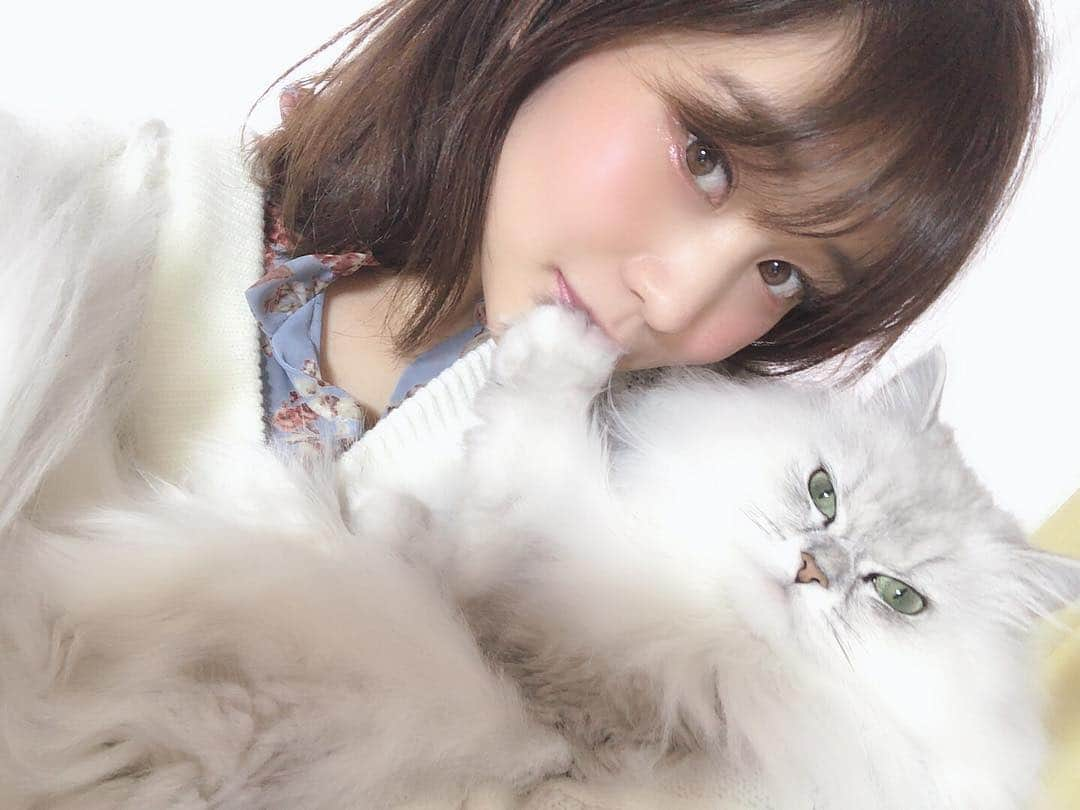 橘花凛さんのインスタグラム写真 - (橘花凛Instagram)「令和よろしくニャンって言ってたよ😽初りんだいふく😽 @daifukutakahashi」5月1日 7時26分 - rintakahashi0809