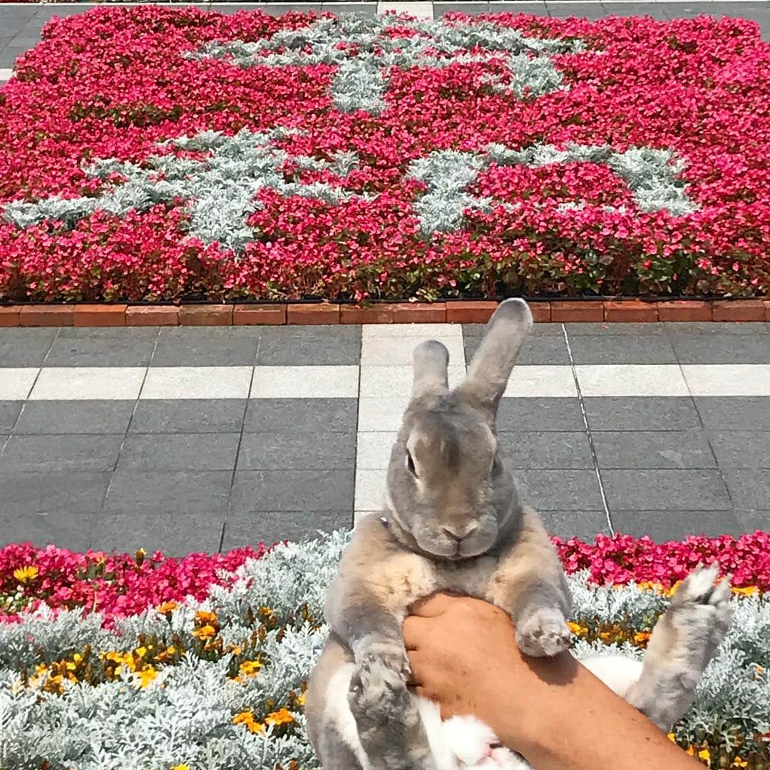Kayoのインスタグラム：「はいさい令和🌺 ・ ・ なんか明治生まれな気分w」