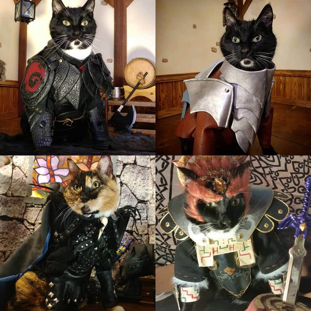 猫コスプレのインスタグラム