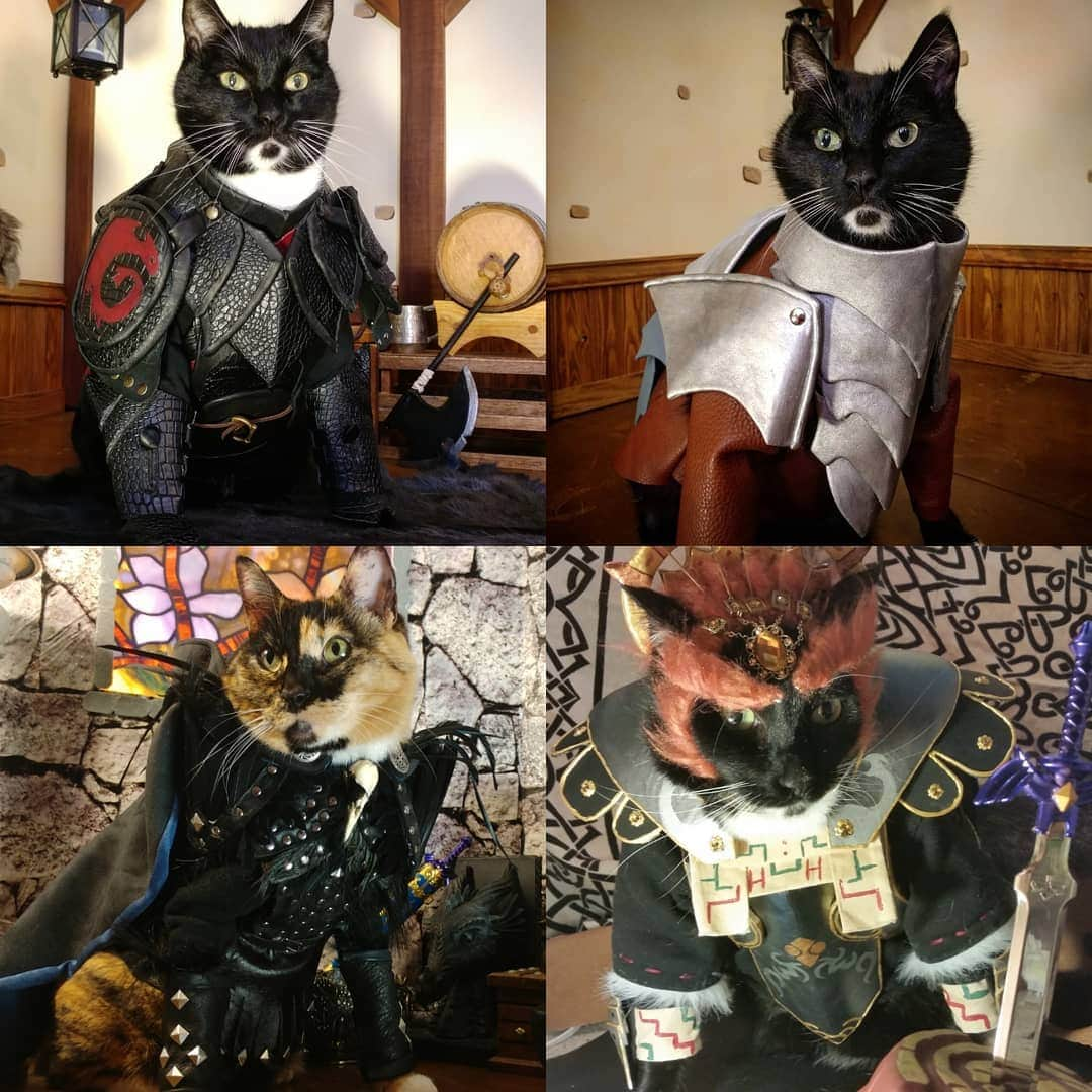 猫コスプレさんのインスタグラム写真 - (猫コスプレInstagram)「From Ganandorf and Vax'ildan, to Hiccup, Captain Phasma, Jon Snow, Chandra Nalaar, and many others. We've done our share of Armor builds... What Armored Character should we move up the list after we finish our #CatsandCatacombs build?  #LegendofZelda #Ganondorf #Vaxildan #CriticalRole #Hiccup #httyd #howtotrainyourdragon #cosplay #petarmor #armor #catarmor」5月1日 7時42分 - cat_cosplay