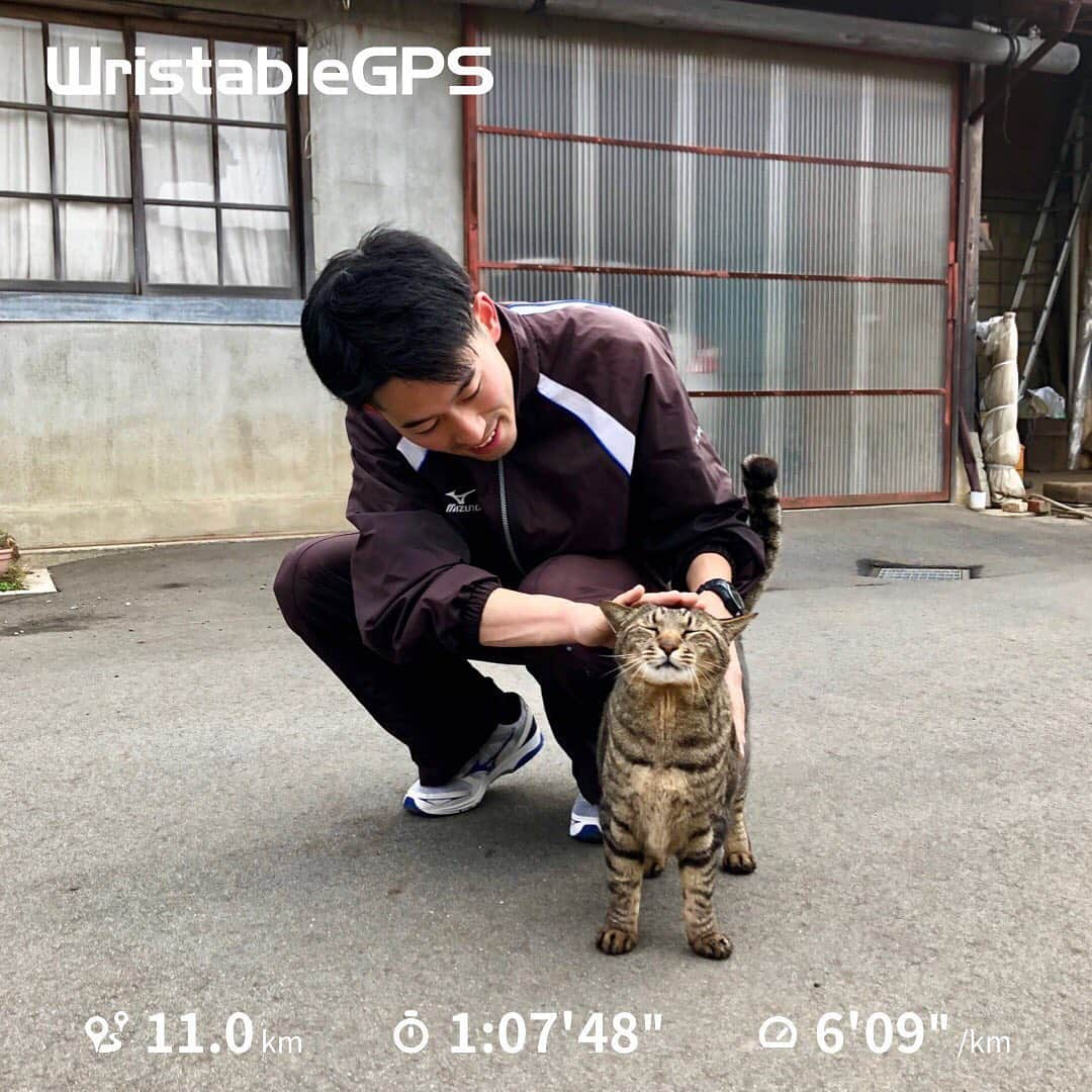 重盛赳男さんのインスタグラム写真 - (重盛赳男Instagram)「ありがとう平成。こんにちは令和。 今朝は実家で父と走り初めに行ってきました。 幸先いいスタートです！ ※写真は父ではありません。 . 令和も、仕事はもちろん、ランニングも頑張ります！ 皆様、引き続きどうぞよろしくお願いします🙏 . #ランニング #令和 #走り初め #令和初ラン #猫 #running #なんかレオが友好的 #高校時代のウィンドブレーカー #シューズは #ウェーブエンペラー #nbs #長野放送 #重盛赳男 #アナウンサー」5月1日 7時55分 - shigemoritakeo