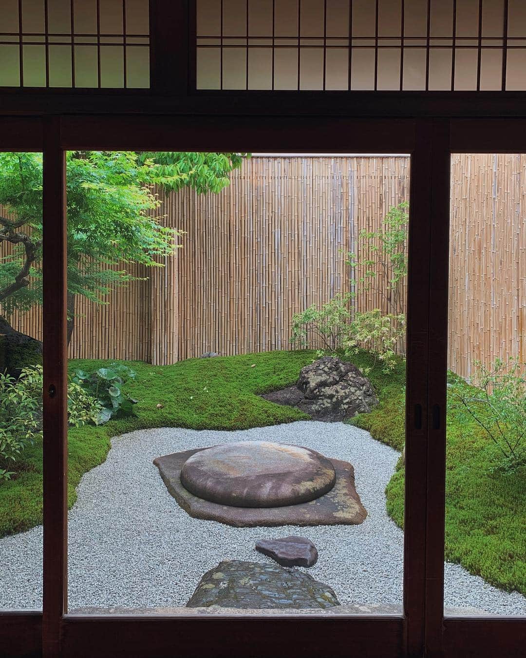 瀬畑茉有子さんのインスタグラム写真 - (瀬畑茉有子Instagram)「雨が降ってるのもまた良き朝🌿 . . 今日は自転車で #京都グラフィー は回れないかな🙄🚲 . #令和 #新元号 #kyoto #kyotographie2019 #goodmorning #holidaytrip #travelphotography #shimogamo #rainyday #garden #house #naturephotography #natures #relax #zen #京都 #京都旅行」5月1日 8時04分 - sehatamayuko