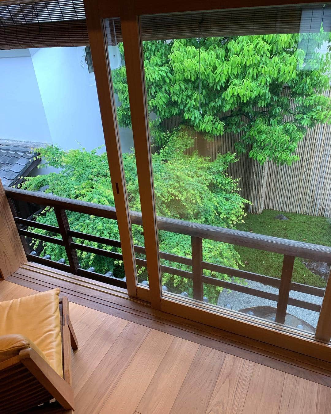 瀬畑茉有子さんのインスタグラム写真 - (瀬畑茉有子Instagram)「雨が降ってるのもまた良き朝🌿 . . 今日は自転車で #京都グラフィー は回れないかな🙄🚲 . #令和 #新元号 #kyoto #kyotographie2019 #goodmorning #holidaytrip #travelphotography #shimogamo #rainyday #garden #house #naturephotography #natures #relax #zen #京都 #京都旅行」5月1日 8時04分 - sehatamayuko