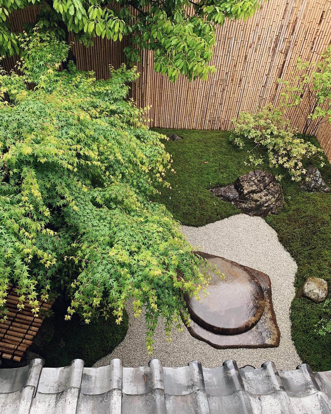 瀬畑茉有子さんのインスタグラム写真 - (瀬畑茉有子Instagram)「雨が降ってるのもまた良き朝🌿 . . 今日は自転車で #京都グラフィー は回れないかな🙄🚲 . #令和 #新元号 #kyoto #kyotographie2019 #goodmorning #holidaytrip #travelphotography #shimogamo #rainyday #garden #house #naturephotography #natures #relax #zen #京都 #京都旅行」5月1日 8時04分 - sehatamayuko