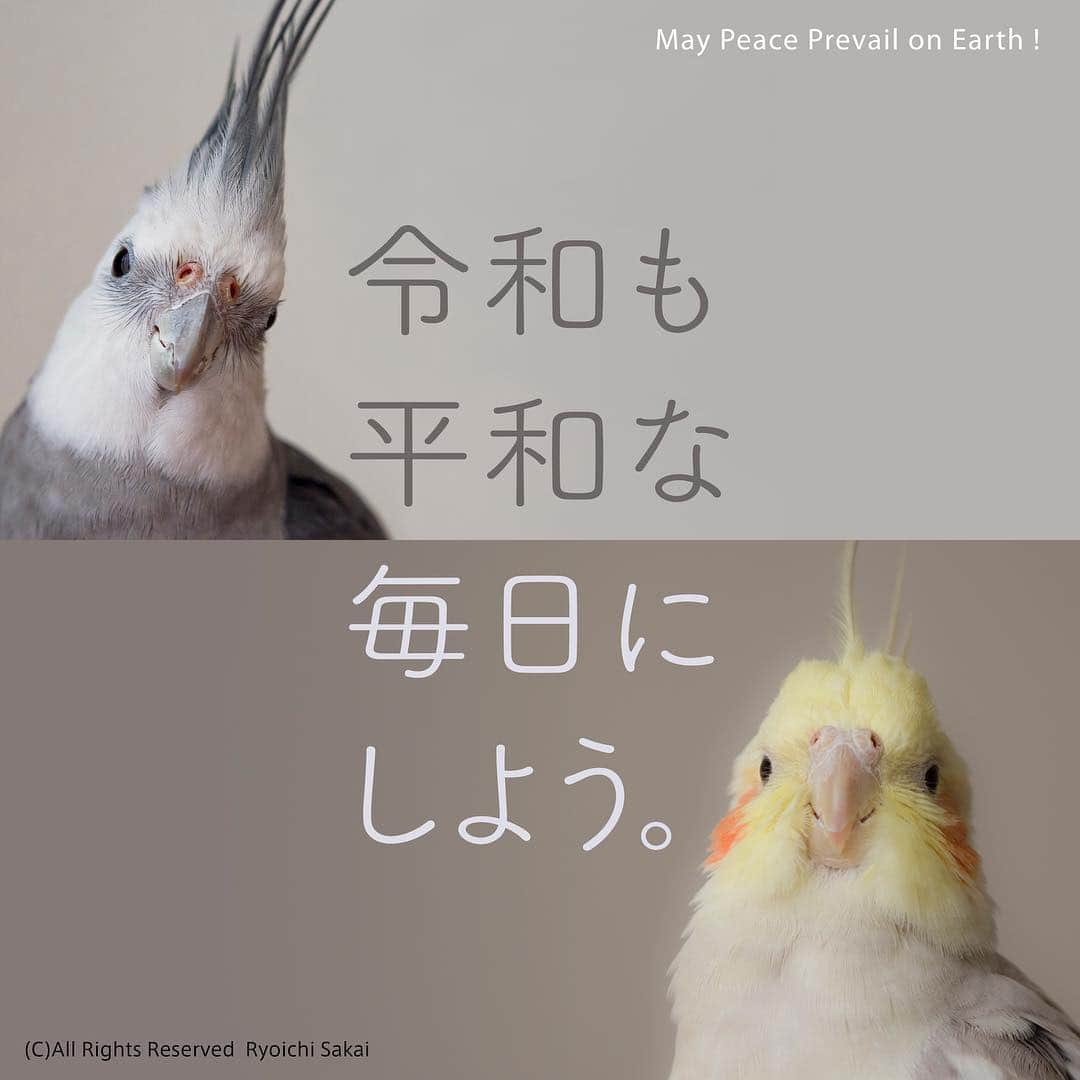 YURAPOi ゆらぽぃさんのインスタグラム写真 - (YURAPOi ゆらぽぃInstagram)「#令和も平和な毎日に」5月1日 8時00分 - ryoichisakai