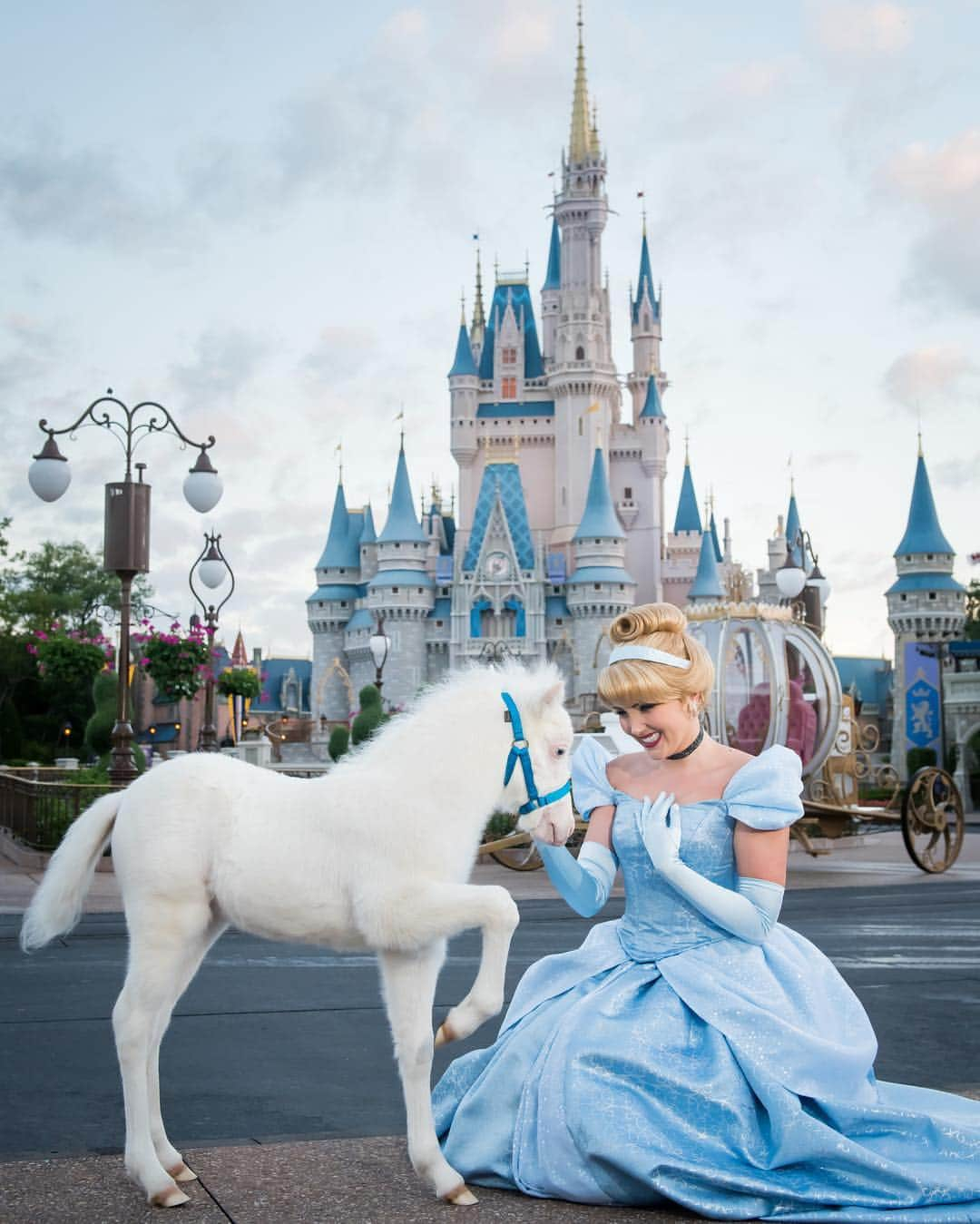 Disneyさんのインスタグラム写真 - (DisneyInstagram)「Join us in giving a royal welcome to Lilly, @waltdisneyworld’s new “Cinderella Pony”! 🐴 ✨ See more at the link in bio.」5月1日 8時48分 - disney