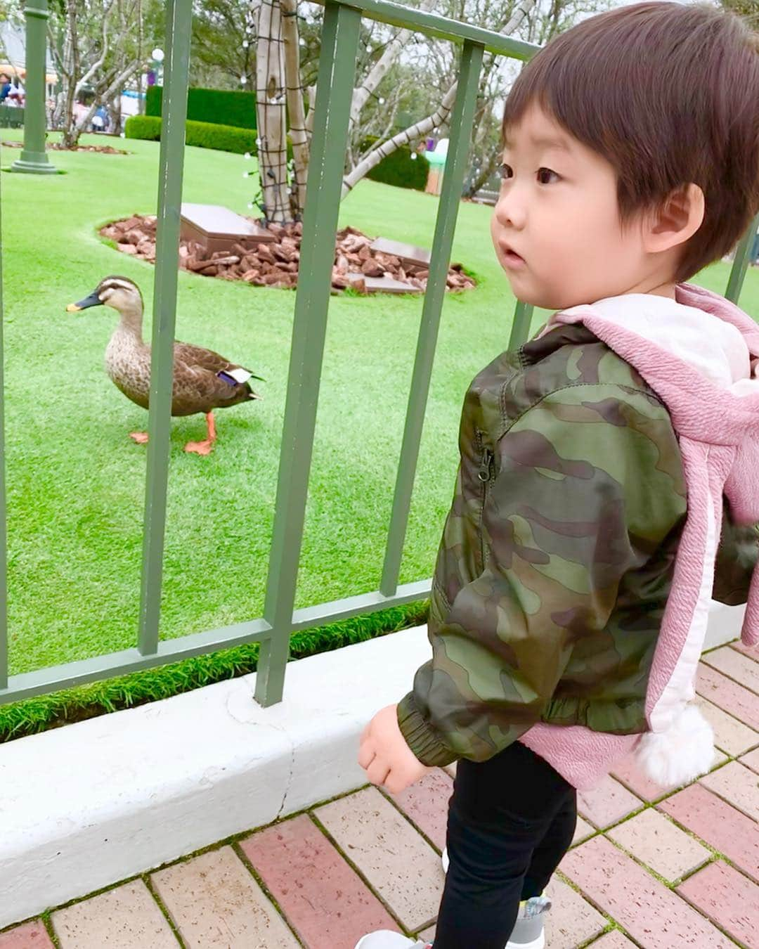 桜井未来さんのインスタグラム写真 - (桜井未来Instagram)「鳥好き男子😂（笑） 公園では鳩を追いかけ回しますww ・ ・ ・ #ディズニー #ディズニーランド #disney #disneyland #ミッキー #ミッキーマウス #mickey #mickeymouse #イースター #ディズニーイースター #easter #お出かけ #ママ #baby #ママ友募集 #赤ちゃんのいる生活 #ママサークル #ママイベント #ママ会 #都内ママ #ベビスタグラム #mamagirl #ベビフル #コドモダカラ #コドモノ #ママリ #親バカ部 #新米ママ東京部」5月1日 9時09分 - miki.sakurai0214