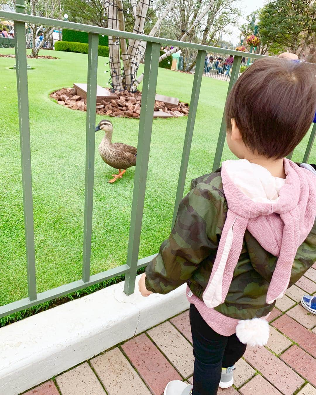 桜井未来さんのインスタグラム写真 - (桜井未来Instagram)「鳥好き男子😂（笑） 公園では鳩を追いかけ回しますww ・ ・ ・ #ディズニー #ディズニーランド #disney #disneyland #ミッキー #ミッキーマウス #mickey #mickeymouse #イースター #ディズニーイースター #easter #お出かけ #ママ #baby #ママ友募集 #赤ちゃんのいる生活 #ママサークル #ママイベント #ママ会 #都内ママ #ベビスタグラム #mamagirl #ベビフル #コドモダカラ #コドモノ #ママリ #親バカ部 #新米ママ東京部」5月1日 9時09分 - miki.sakurai0214