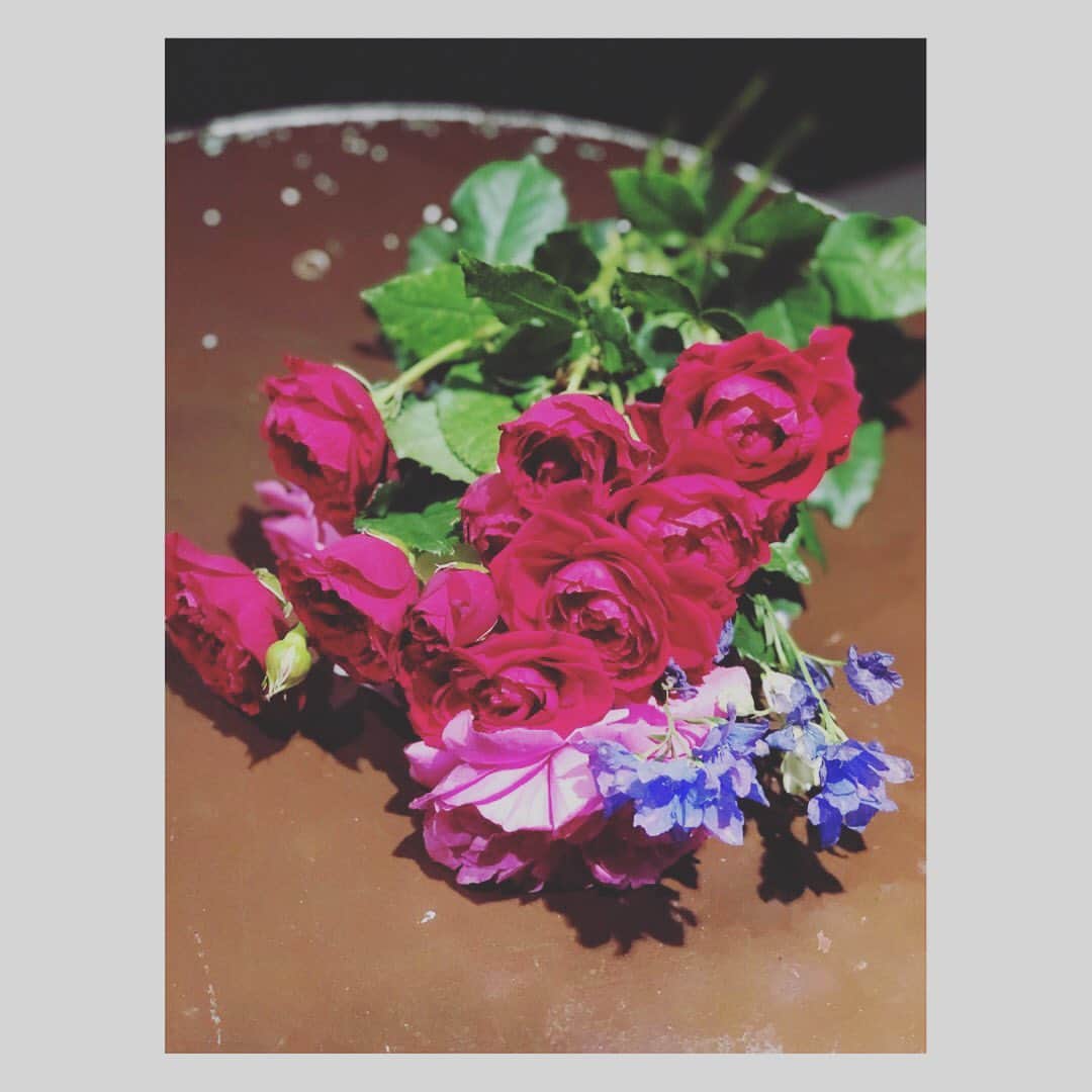 四宮吏桜さんのインスタグラム写真 - (四宮吏桜Instagram)「‪昨日！"ONESCENE memories vol.4"ミニワンマンライブに来てくださって本当にありがとうございます😊‬ ‪今回持ち曲をフルで歌わせていただいて…正直！！体力持つかなぁって思ってたんだけどいざライブするとあっという間だったなぁ😝ww‬ ‪中には初めて聴く曲とかもあったんじゃないでしょうか？🥰‬ ‪近々ONESCENEの曲を簡単にまとめて紹介できたらと思います🙋‍♀️‬ ‪そして！オフ会！！‬ ‪ドタバタでこちらもあっという間のオフ会でしたが…ありがとうございます！！‬ ‪昔話だったり…コアな話だったり…即興でコラボしたり…🤑ゲストさんと対決したり…ww‬ ‪でもあれは致命傷だね笑‬ ‪ちょっと悔しいけん練習してくるね笑笑‬ ‪いつも以上に皆さんとお話ができて本当に良かったです🔥‬ ‪本当はもうちょっと…いや！あと３時間ぐらい！一人一人とお話ししたかったんですが…🙄笑‬ ‪個人的に…映画の話をしてくださる方が多くて…ついつい話し込んじゃいそうでした😝映画の事ならなんでも聴きに来てねん♪‬ ‪そして‬ ‪ついに…ファン名決まりましたね😎‬ ‪その名も"ワンキャス"‬ ‪私達のコンセプトでもある一瞬一瞬を紡いで一つのストーリー、映画を作る、その演者は私達だけでなくファンの皆さんも"キャスト"として作っていくという想いを込めてこのファン名に決まりました🕺‬ ‪ぜひ、この"ワンキャス"をSNSで広めていただいたりツイッター、インスタ名の後ろに、プロフィール欄に書き加えていただければ凄く嬉しいです☺️‬ ‪今回のワンマンライブでもそうですが、今までしてきたONESCENE memoriesのライブに、フラワースタンドや沢山のサプライズを用意してくださって本当に感謝してもしても言葉が足りないくらい幸せです。ありがとう。‬ ‪毎回ね…あれごと持ち帰りたいってめちゃくちゃ思うんです！！だって素敵だもん！w‬ ‪さすがに全ては持って帰れなくてもライブを華やかにしてくれた花達を一本一本摘み取って小さな花束にしていつも持ち帰ってます💞‬ ‪改めて本当にありがとうございます。‬ ‪…さぁ！ついに新時代の幕開けですよ！！‬ ‪Welcome to 令和〜！！😆🌞‬ ‪おいでませ〜 Reiwaaaaaaa‬ ‪令和最初のライブは明日の佐賀でのもくむつライブ！‬ ‪二回ステージなのでぜひGWの想い出に来てはいかがでしょうか？☺️‬ ‪ってなわけで今日も今日とて映画を観るべし！←‬ ‪これからもみなさんにとって素敵な一年になりますように…🥰‬ ‪Thanks! My families"One cas"‬ #ONESCENE #四宮吏桜 #橘紗希 #上乃樺楽  #平成最後の #ミニワンマン #一周年記念  #1stanniversary  #fukuoka  #reflex  #live  #japan  #japanesegirl  #girls  #girlsunit  #flower  #flowerstand  #インスタ映え #いいね」5月1日 9時22分 - rio_s_0221