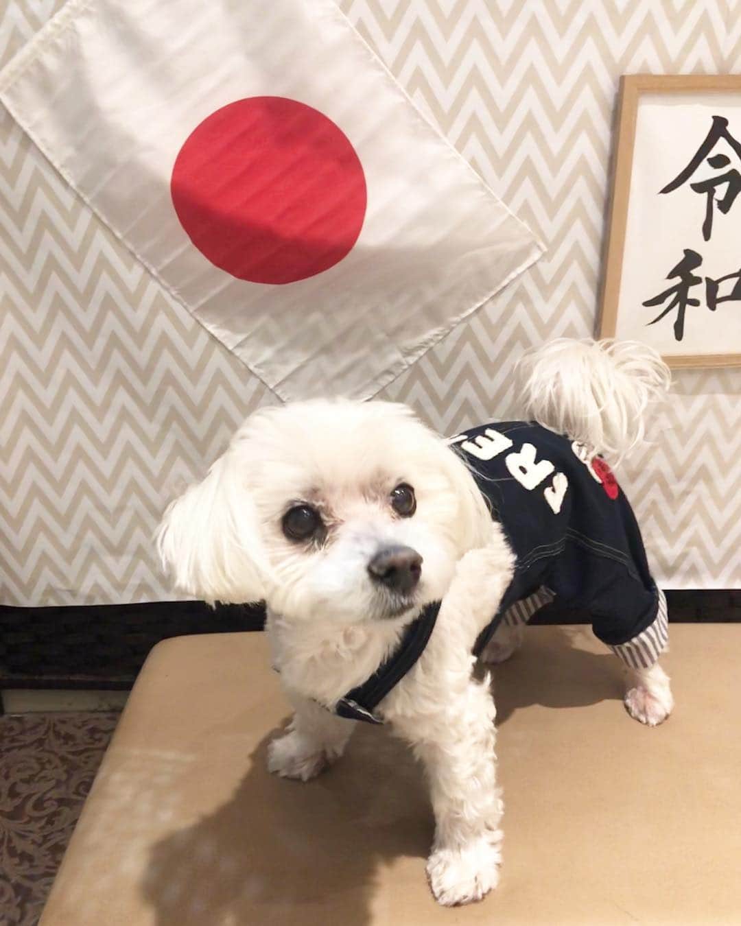 曲渕伊代のインスタグラム：「ラムちゃん🧡 #令和」