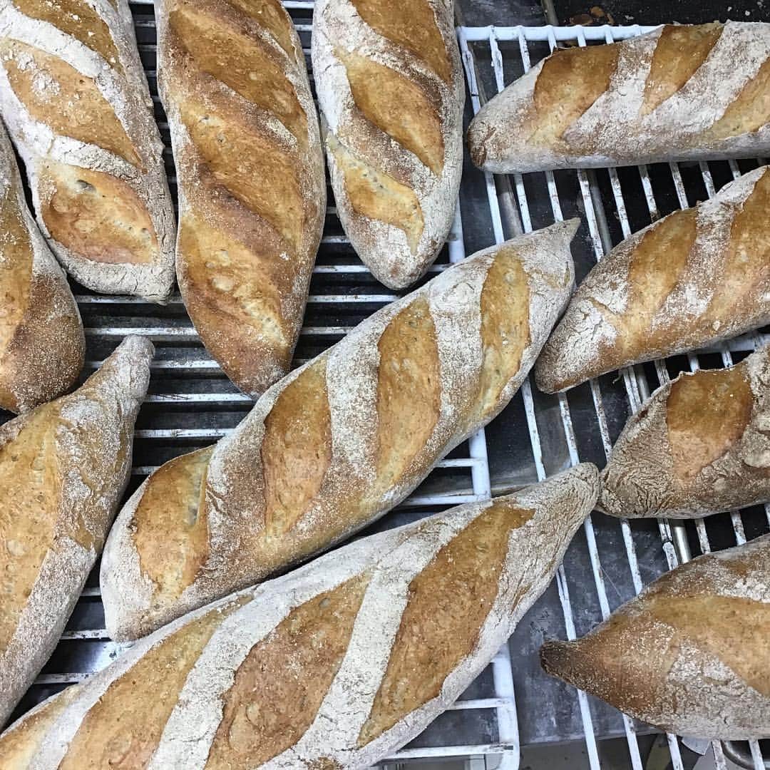 魔女菅原のグルメインスタ