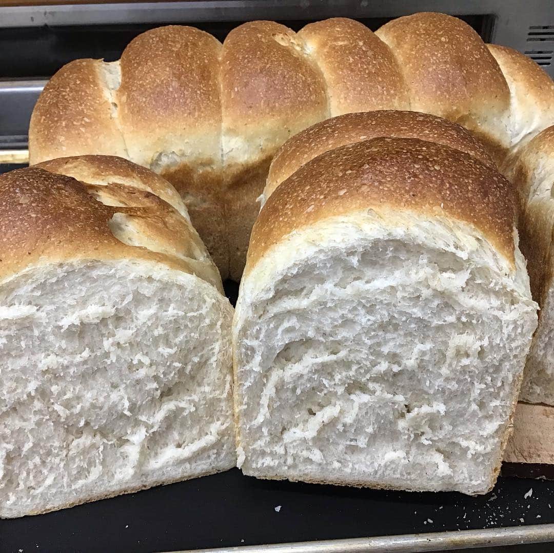 魔女菅原のグルメインスタ