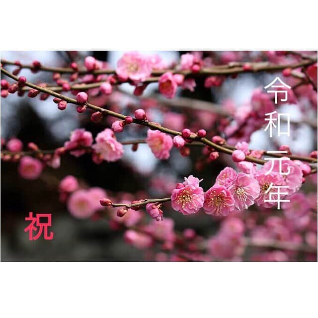 七瀬遥さんのインスタグラム写真 - (七瀬遥Instagram)「㊗️令和元年 いよいよ、新しい時代がスタートしましたね☺️✨どんな時代になっていくのか楽しみです⛩平和で幸せな光がたくさんたくさん降り注ぎますように✨🌅✨ #祝 #令和元年#新時代#平和#日本#幸せ#happy#smile#love#tokyo#japan」5月1日 11時08分 - haruka_mh