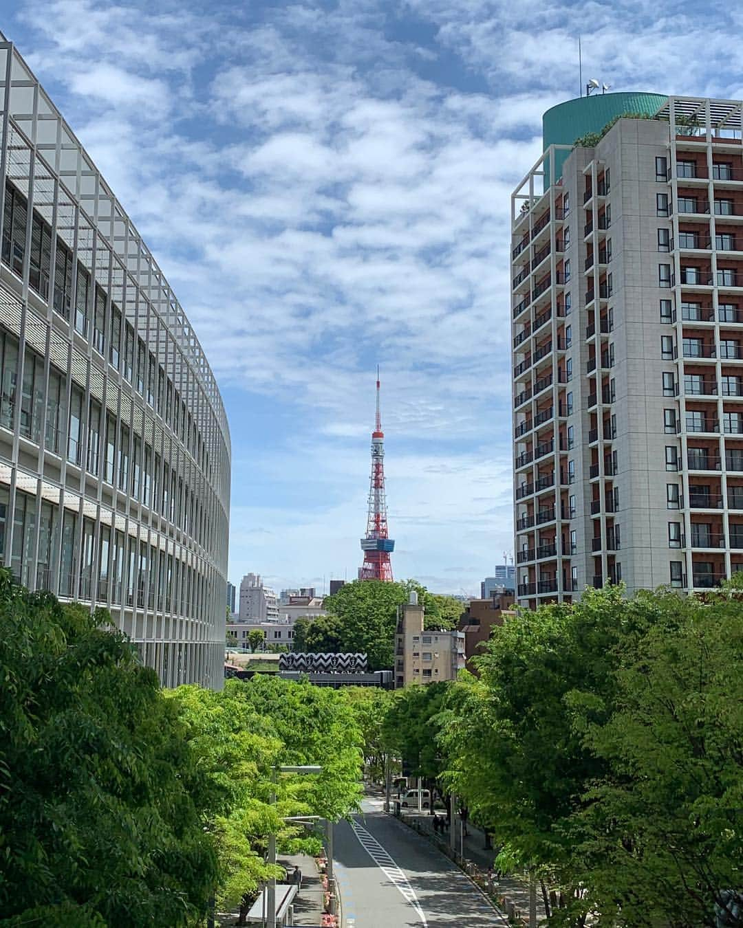 くろさんのインスタグラム写真 - (くろInstagram)「たわ！ #🗼 #tokyotower #東京タワー」5月1日 11時33分 - m6bmw