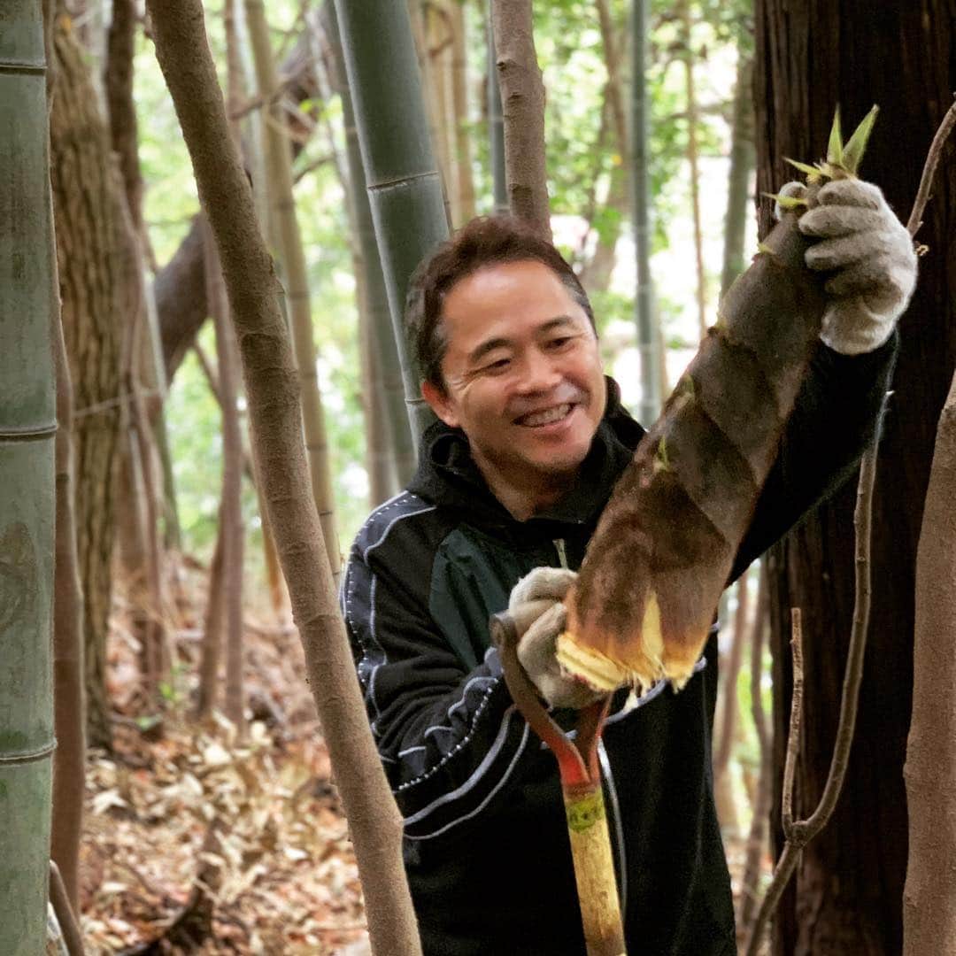 増田順一のインスタグラム：「筍掘り」