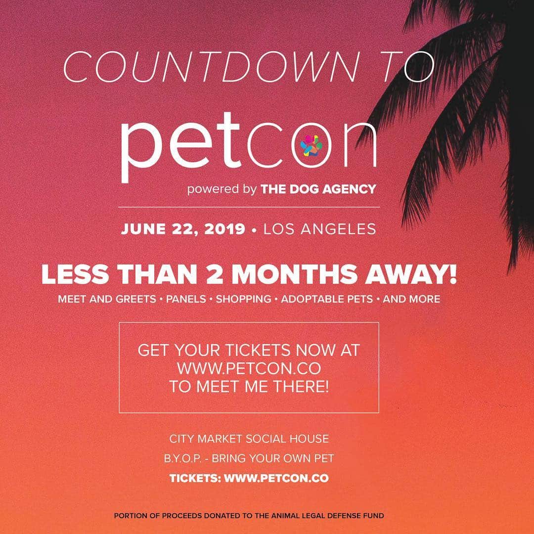 Dougie the Shih Tzuさんのインスタグラム写真 - (Dougie the Shih TzuInstagram)「Are you coming to meet Dougie and feel the fluff in person?  PetCon is less than two months away and we hope to see you there! Link for tickets in bio.」5月1日 22時25分 - dailydougie