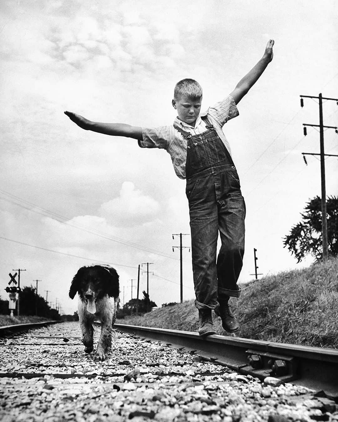 lifeさんのインスタグラム写真 - (lifeInstagram)「Larry Jim Holm, 12, with Dunk, his spaniel-collie mix, walking rail of railroad tracks in Oskaloosa, Iowa in 1945. (Photo by Myron Davis—The LIFE Picture Collection/Getty Images) #wildLIFEwednesday #dogsofinstagram」5月1日 22時27分 - life