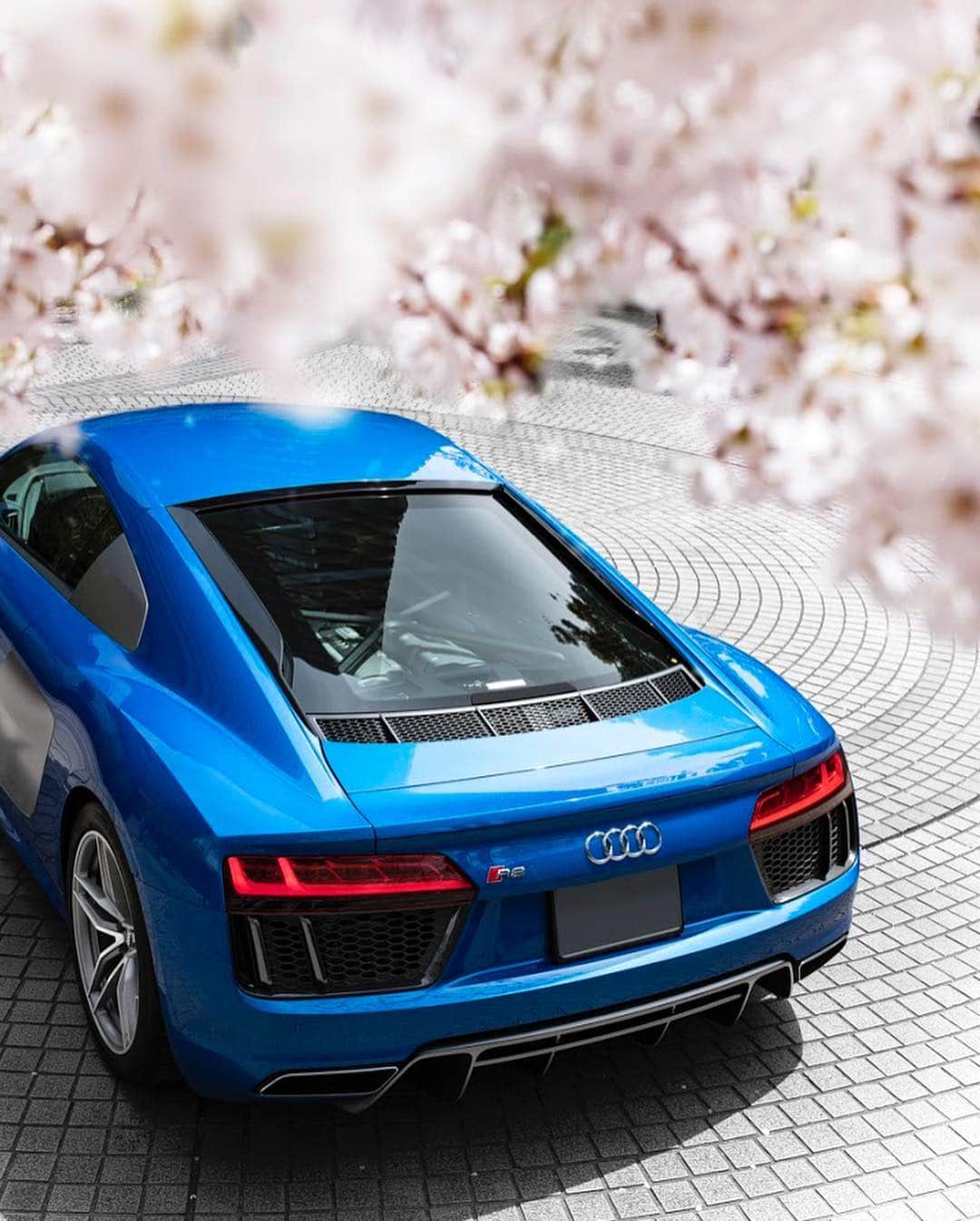 アウディ ジャパンさんのインスタグラム写真 - (アウディ ジャパンInstagram)「Audiのフィロソフィーを体現するスーパースポーツ、Audi R8 Coupéと満開の桜のコラボレーション。#令和最初の日 です。 「美しい調和」を意味する新たな時代。あなたはAudiとともに、どこに向かって走っていきますか？  #Audi #R8 #AudiR8 #Audijapan #桜 #sakura #御殿山トラストシティ #carwithoutlimits  #MomentswithAudi #Audigramm #carporn #令和」5月1日 20時54分 - audijapan