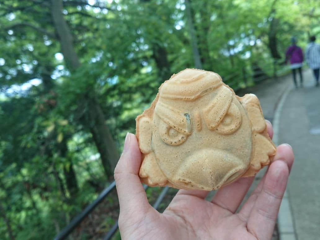 桜花さんのインスタグラム写真 - (桜花Instagram)「天狗焼きは今日も美味しかった🍀 令和も沢山食べるぞ〜🗻🌼 黒豆あんにもちもちの皮🍀やみつきです🍀  #天狗焼き  #高尾山  #名物  #山登り  #山  #山歩き #登山  #」5月1日 20時57分 - mountainohka