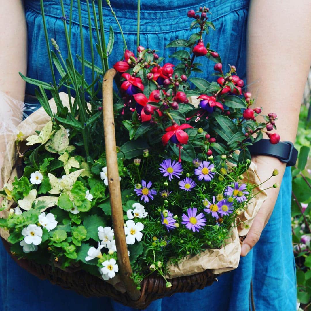 MILLE ECLAT.のグルメインスタ