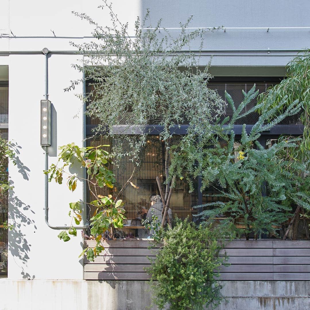 ReFa【MTG公式】のグルメインスタ