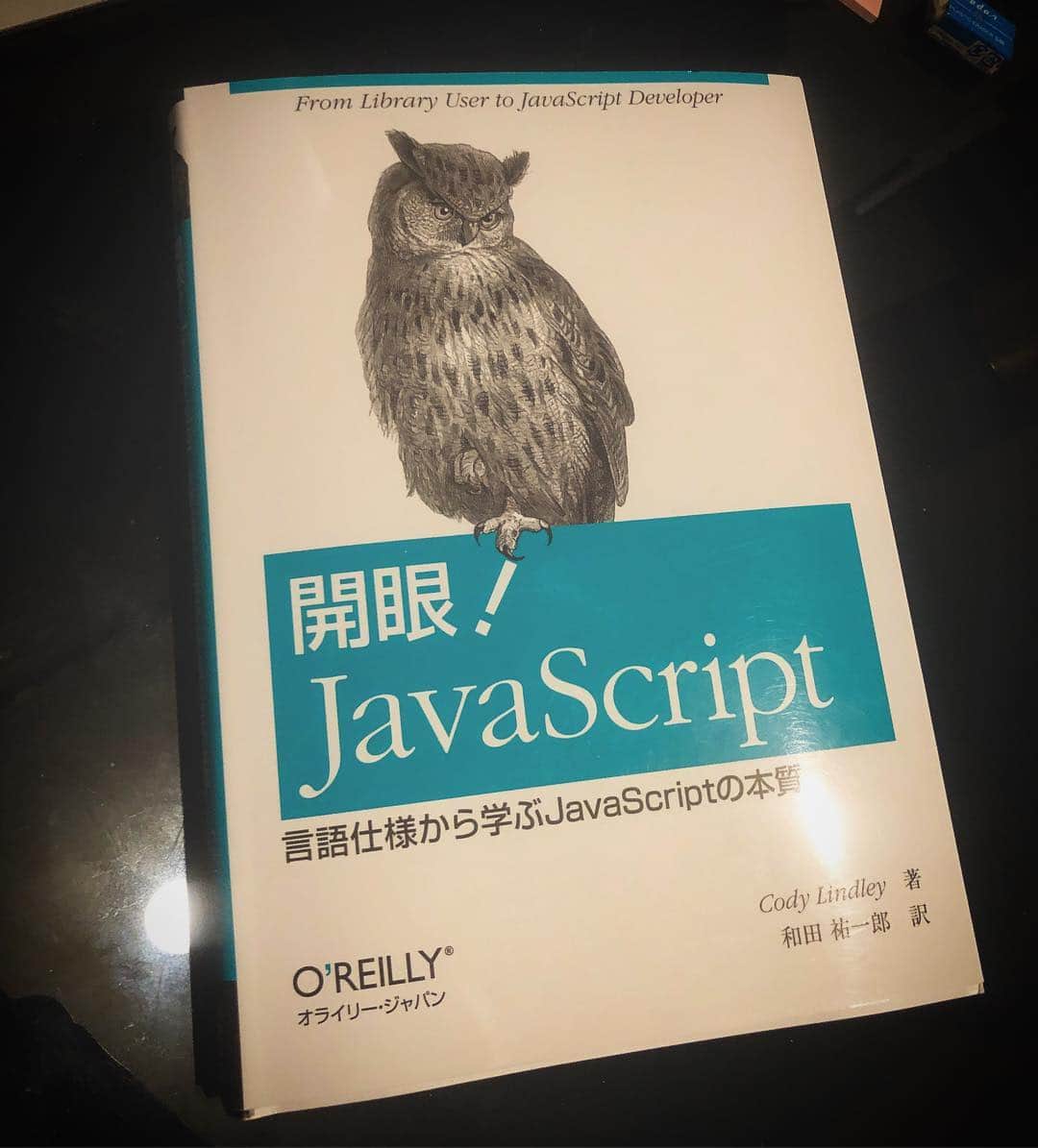 yukawaさんのインスタグラム写真 - (yukawaInstagram)「. 次はこの本で、JavaScriptの言語仕様という、舞台裏の突っ込んだとこまで見てくるでʕ•̫͡•ʔ . . . #instaprogrammers  #100daysofcode  #千里の道も一歩から  #好きこそ無敵 #知識という名の立派な靴を履こう  #写真好きな人と繋がりたい  #ファインダー越しの私の世界  #photo #写真 #サイト制作 #ホームページ制作  #programming  #プログラミング #javascript #macbook #design #デザイン #制作 #PC #instapic #webdesign  #ウェブデザイン #book  #本 #電子書籍 #本好き #本好きな人と繋がりたい」5月1日 21時36分 - takeshi.yukawa