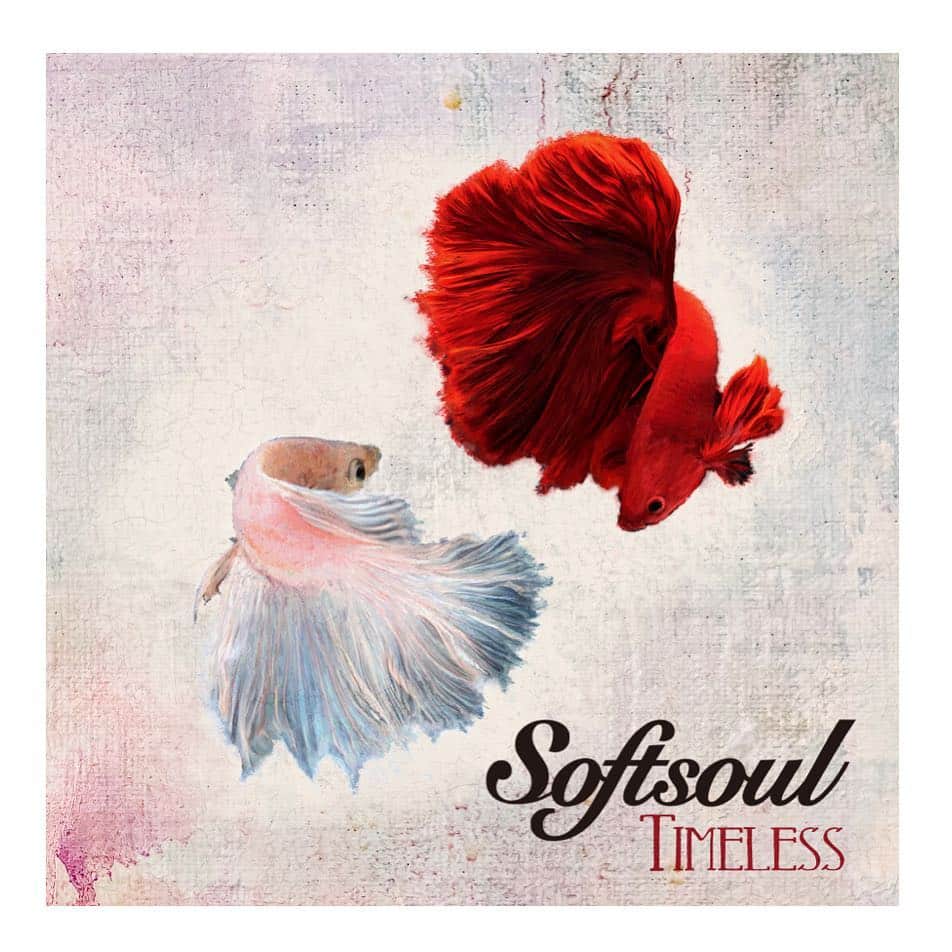 鈴木渉さんのインスタグラム写真 - (鈴木渉Instagram)「Softsoul 1st Album "Timeless"  配信でのリリース開始しました！  Available on Apple Music, Spotify etc and Streaming now.  #Softsoul #soul #soulmusic  #soulmusiclovers #japanesesoul  #phillysoul #deepsoul #chicagosoul  linkco.re/3QZ728az youtu.be/TUXUU3MqxpI」5月1日 21時40分 - watarumble0223